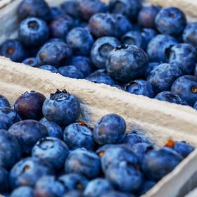 Blueberry